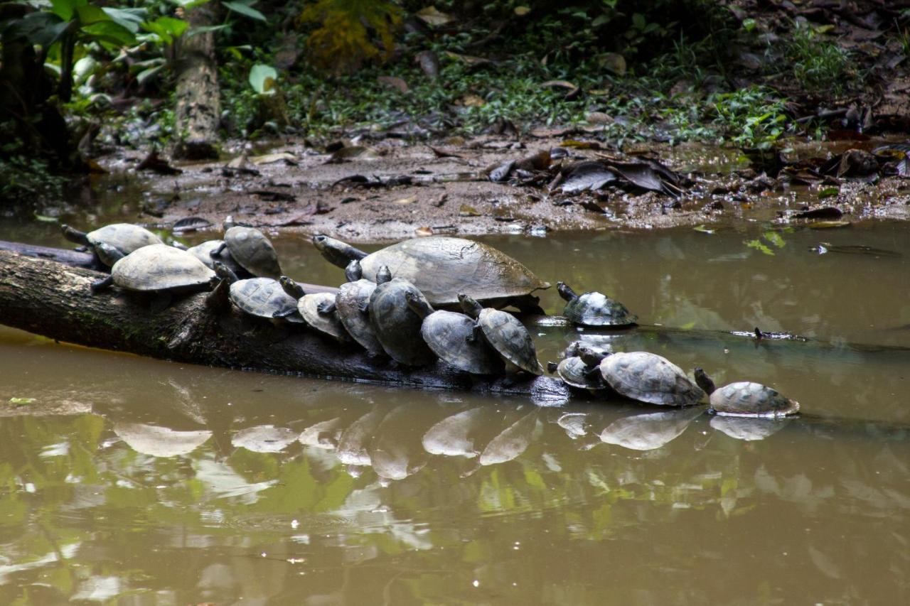 Grand Selva Lodge & Tours Тена Екстер'єр фото