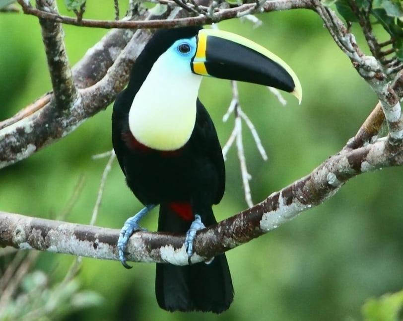 Grand Selva Lodge & Tours Тена Екстер'єр фото