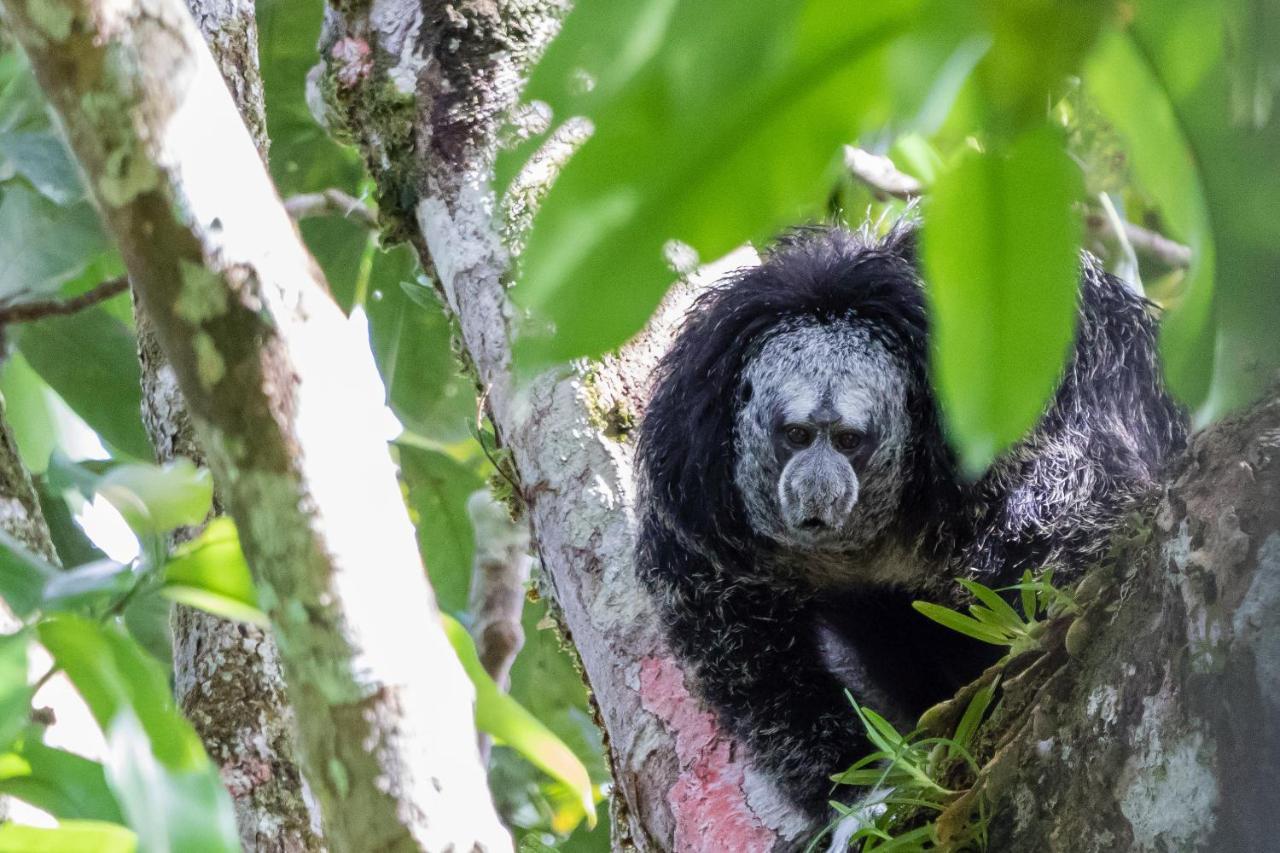 Grand Selva Lodge & Tours Тена Екстер'єр фото