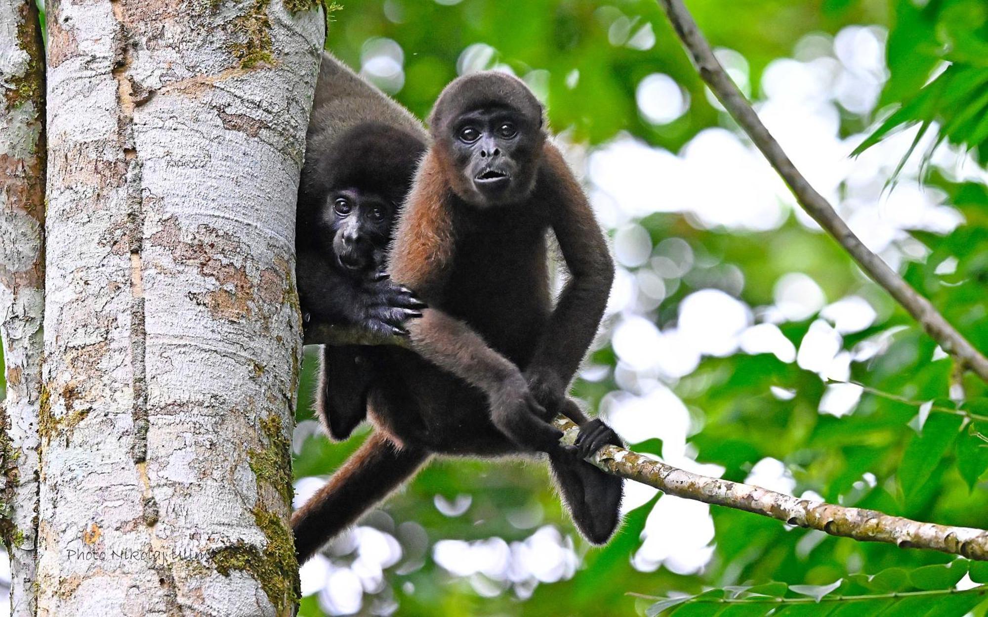 Grand Selva Lodge & Tours Тена Екстер'єр фото